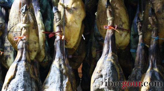 Ibergour Spanish hams