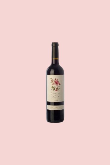 Priorat Young Red Crianza wine Camins del Priorat 2013