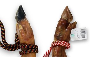 Black and ivory-coloured pig hooves